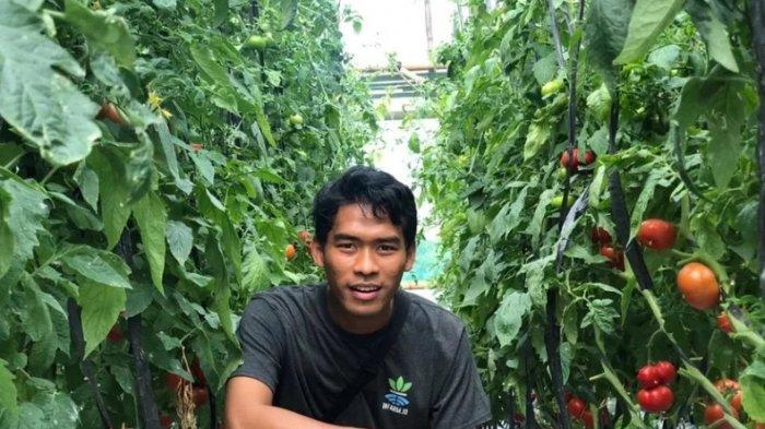 Mengenal-infarm-Toko-Bibit-dan-Perlengkapan-Berkebun-di-Lazada-Ajak-Pembeli-Peduli-Lingkungan.jpg