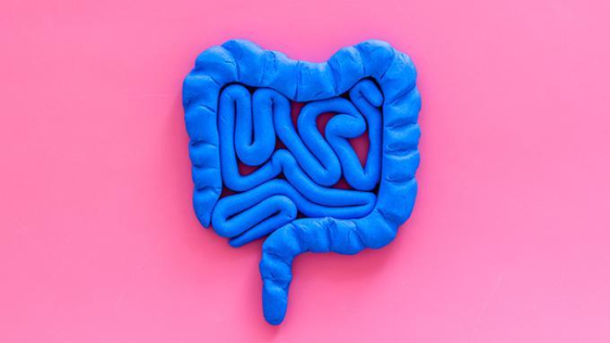 Penyakit-Crohn-atau-Crohns-Disease.jpg