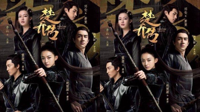 Poster Princess Agents