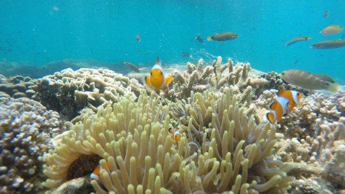 Pulau Gili Ketapang