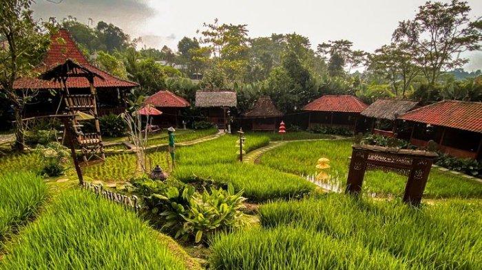 Sawah Segar Resto & Nursery di Bogor, Jawa Barat.