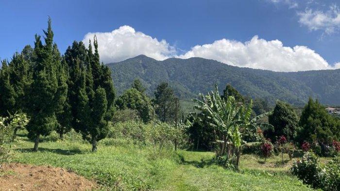 Taman Nasional Gunung Halimun Salak