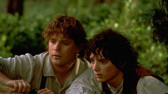 The Lord Of The Rings: The Fellowship Of The Ring