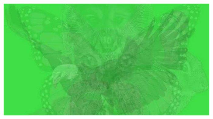 Tes Kepribadian gambar hewan yang terlihat pertama kali