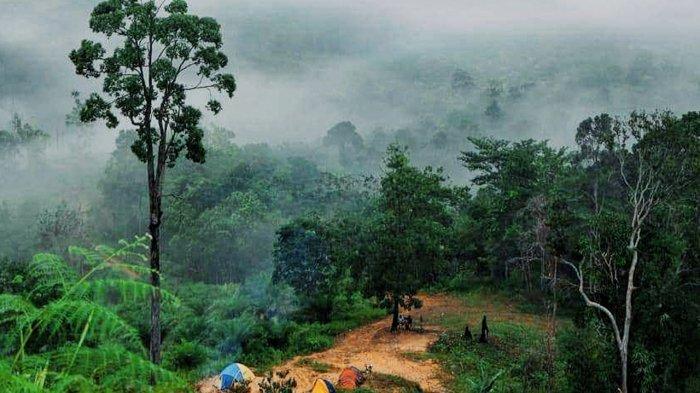 Awan menyelimuti Bukit Condong