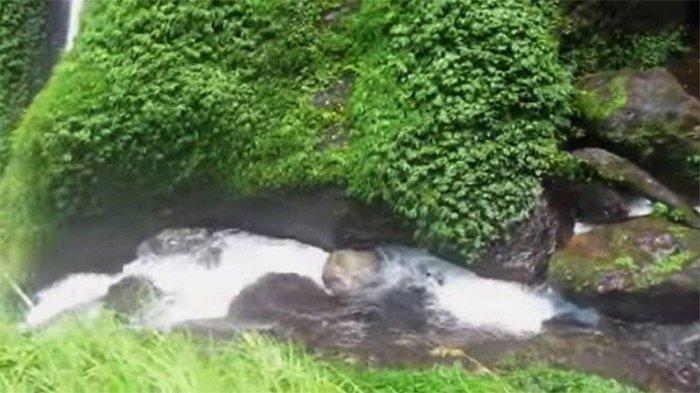 Air Terjun Jodoh terletak di Dusun Pamah Semelir, Desa Telagah, Kecamatan Sei Bingai, Kabupaten Langkat, Sumatera Utara.